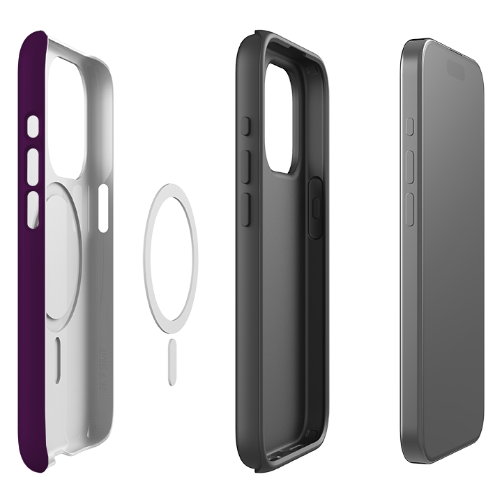 iPhone MagSafe Tough Case - Sicily Chroma Stripe
