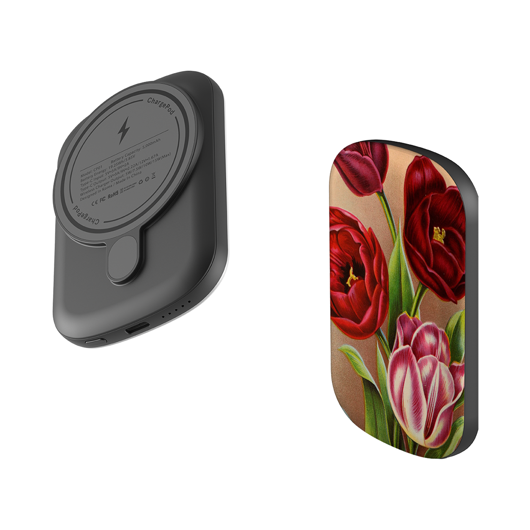 MagSafe Power Bank - Tylney