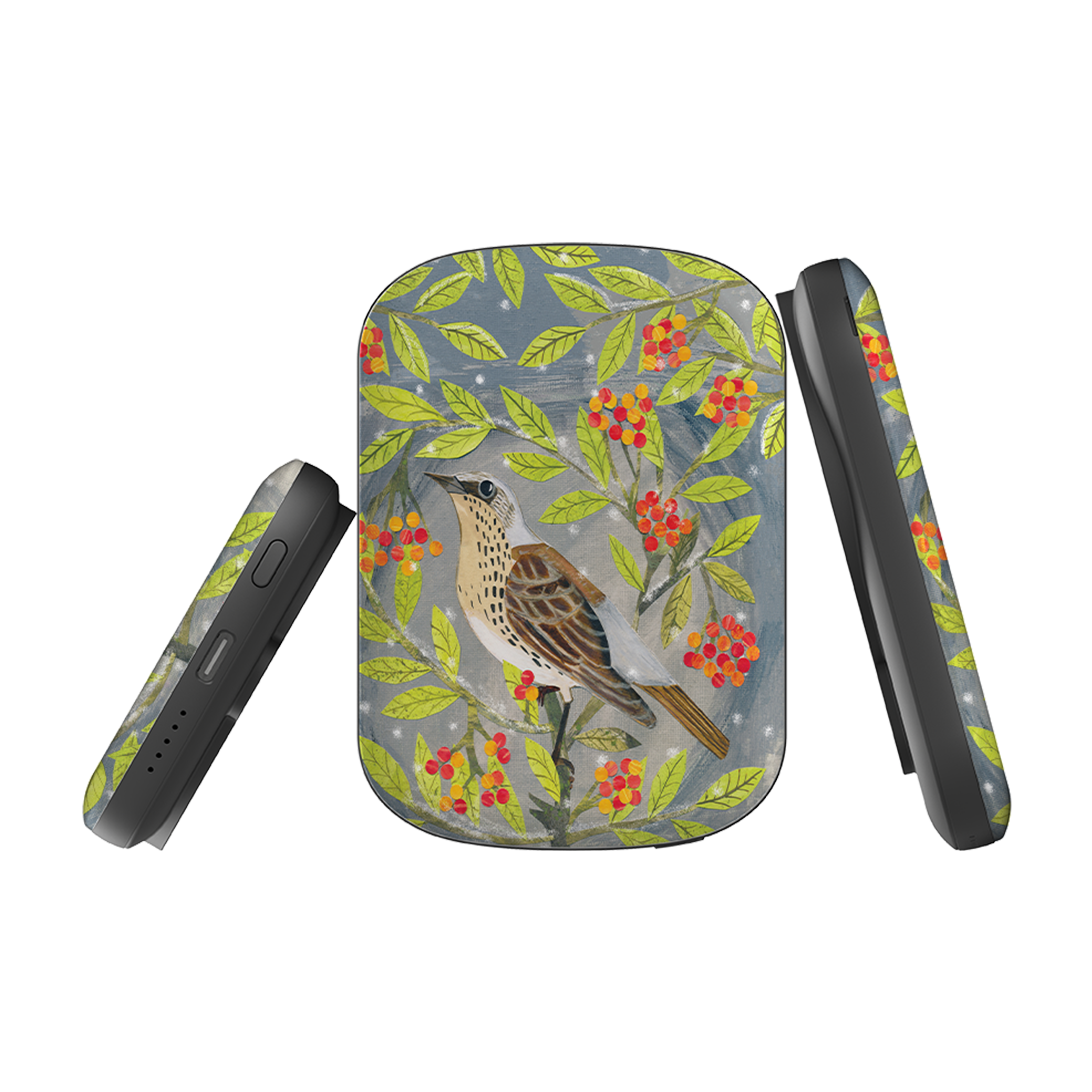 MagSafe Power Bank - Thrush By Tracey English