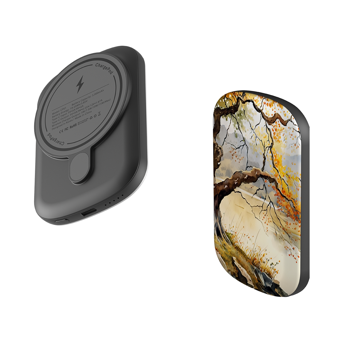 MagSafe Power Bank - Waters Edge