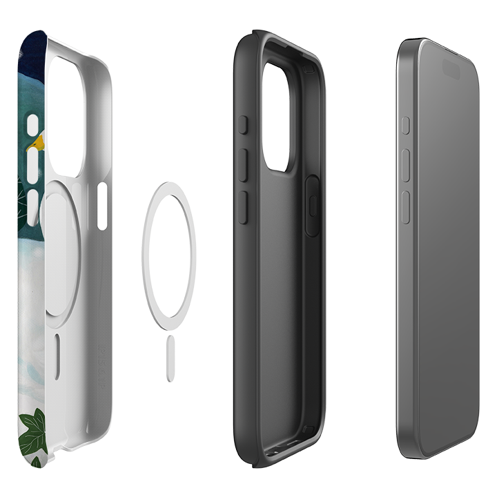 iPhone MagSafe Tough Case - Winter Geese By Bex Parkin