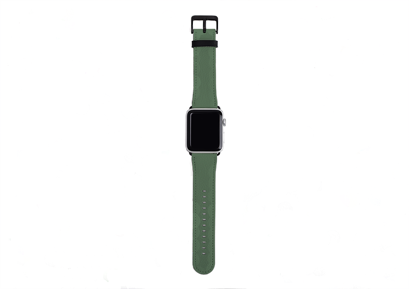 Apple Watch Strap- Chicago Green