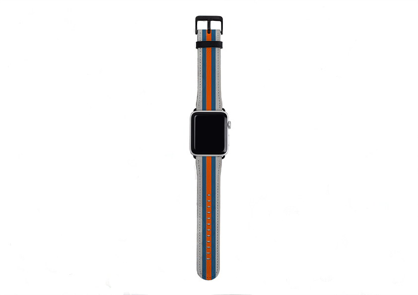 Apple Watch Strap- Dubai Chroma Stripe