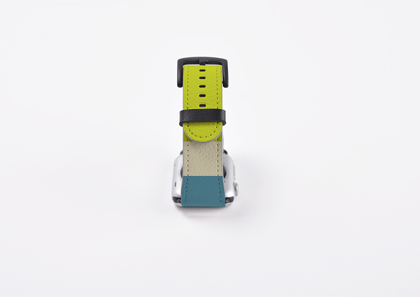 Apple Watch Strap- Jaipur Chroma Horizontal Stripe