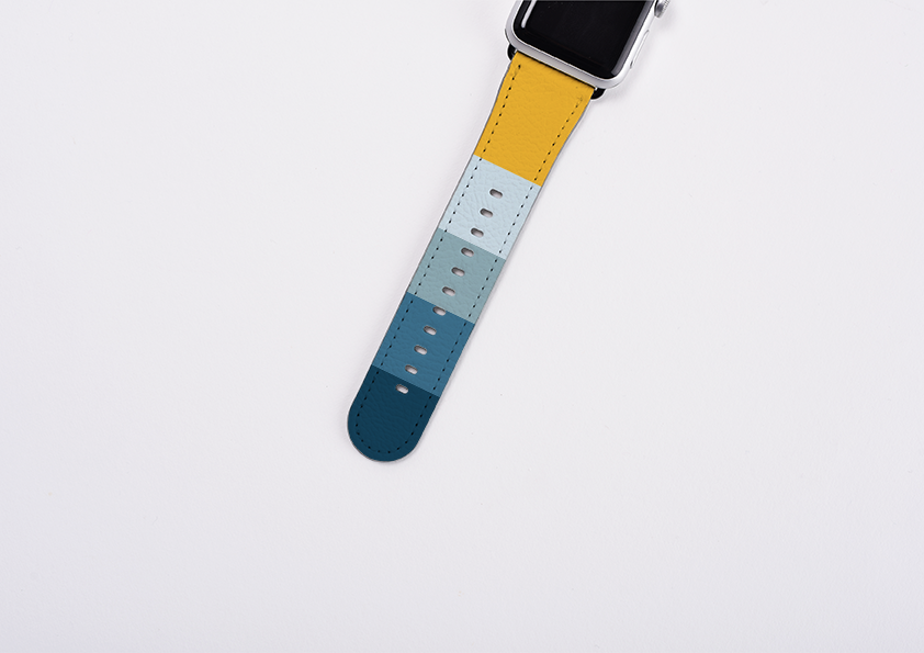 Apple Watch Strap- Madrid Chroma Horizontal Stripe