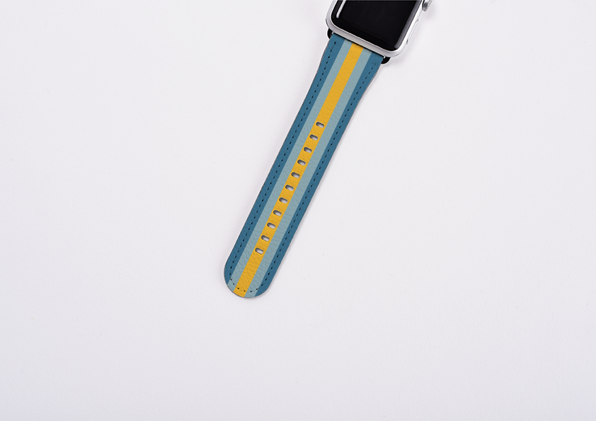 Apple Watch Strap- Madrid Chroma Stripe