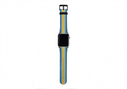 Apple Watch Strap- Madrid Chroma Stripe