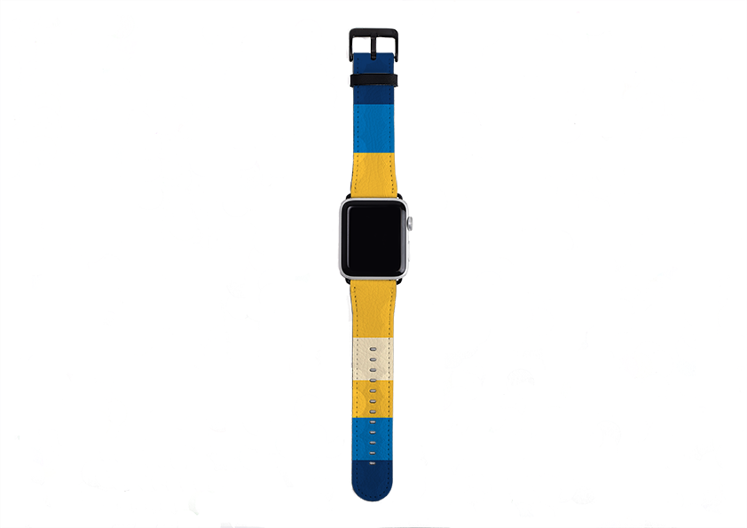 Apple Watch Strap- New York Chroma Horizontal Stripe