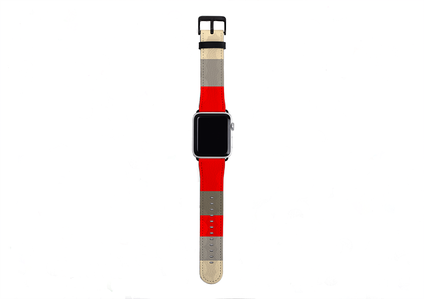 Apple Watch Strap- Paris Chroma Horizontal Stripe