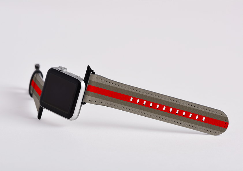 Apple Watch Strap- Paris Chroma Stripe