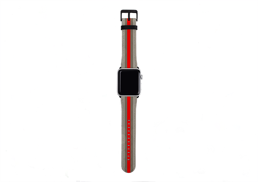 Apple Watch Strap- Paris Chroma Stripe