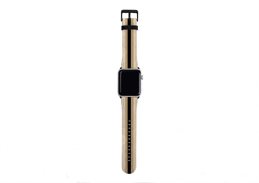 Apple Watch Strap- Seoul Chroma Stripe