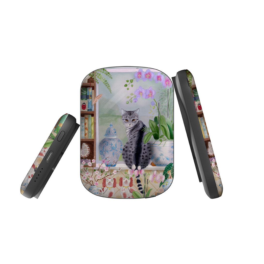 MagSafe Power Bank - Cat In Window By Bex Parkin