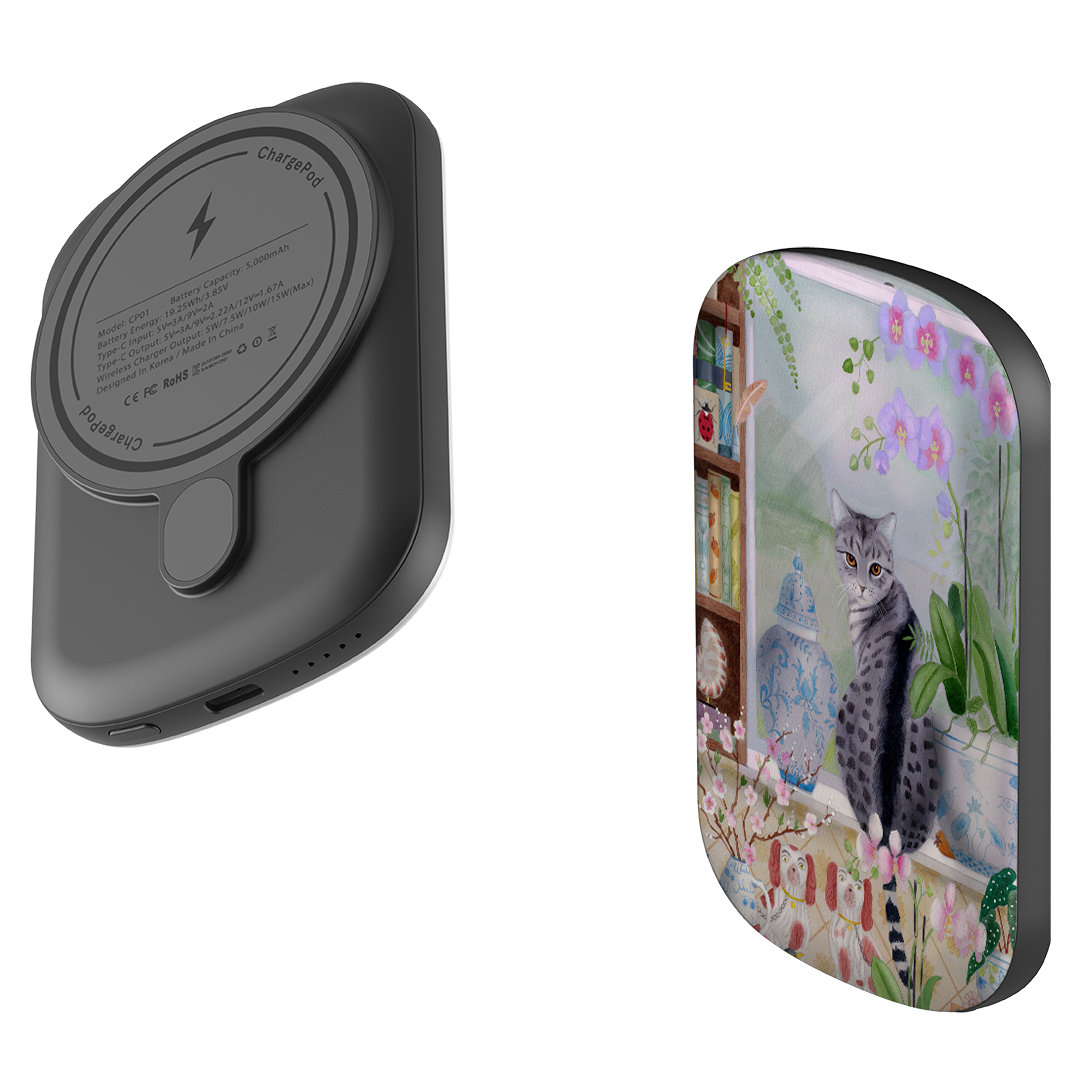 MagSafe Power Bank - Cat In Window By Bex Parkin