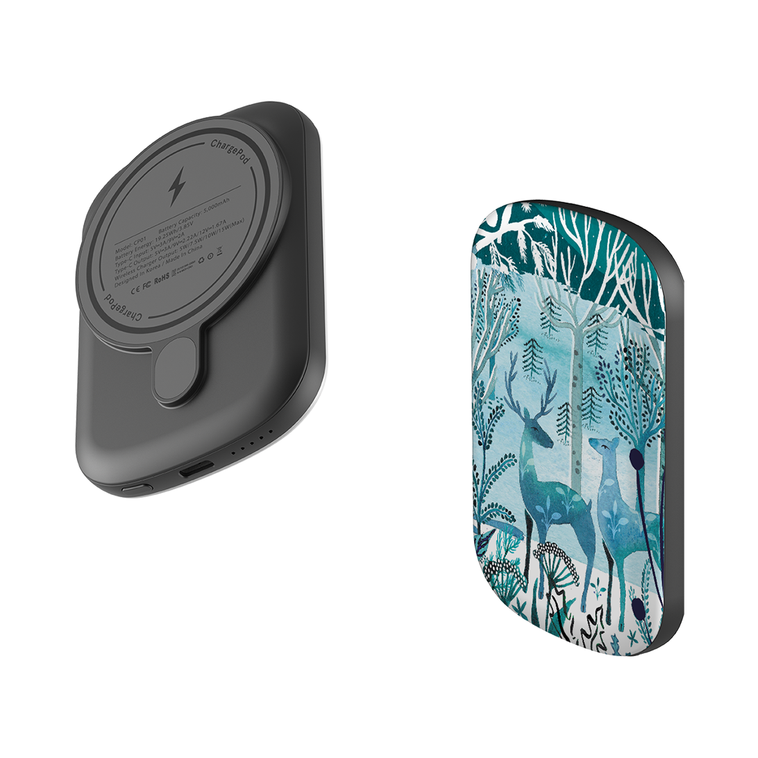 MagSafe Power Bank - Frosted Branches By Emma Frances Grant