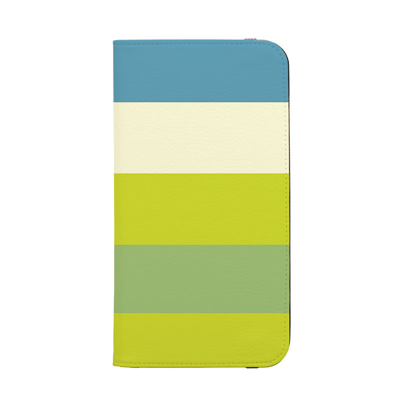 Horizontal Stripe Wallet Case Jaipur Chroma
