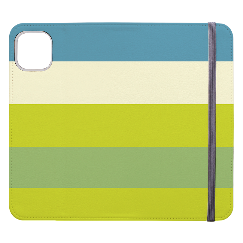 Horizontal Stripe Wallet Case Jaipur Chroma