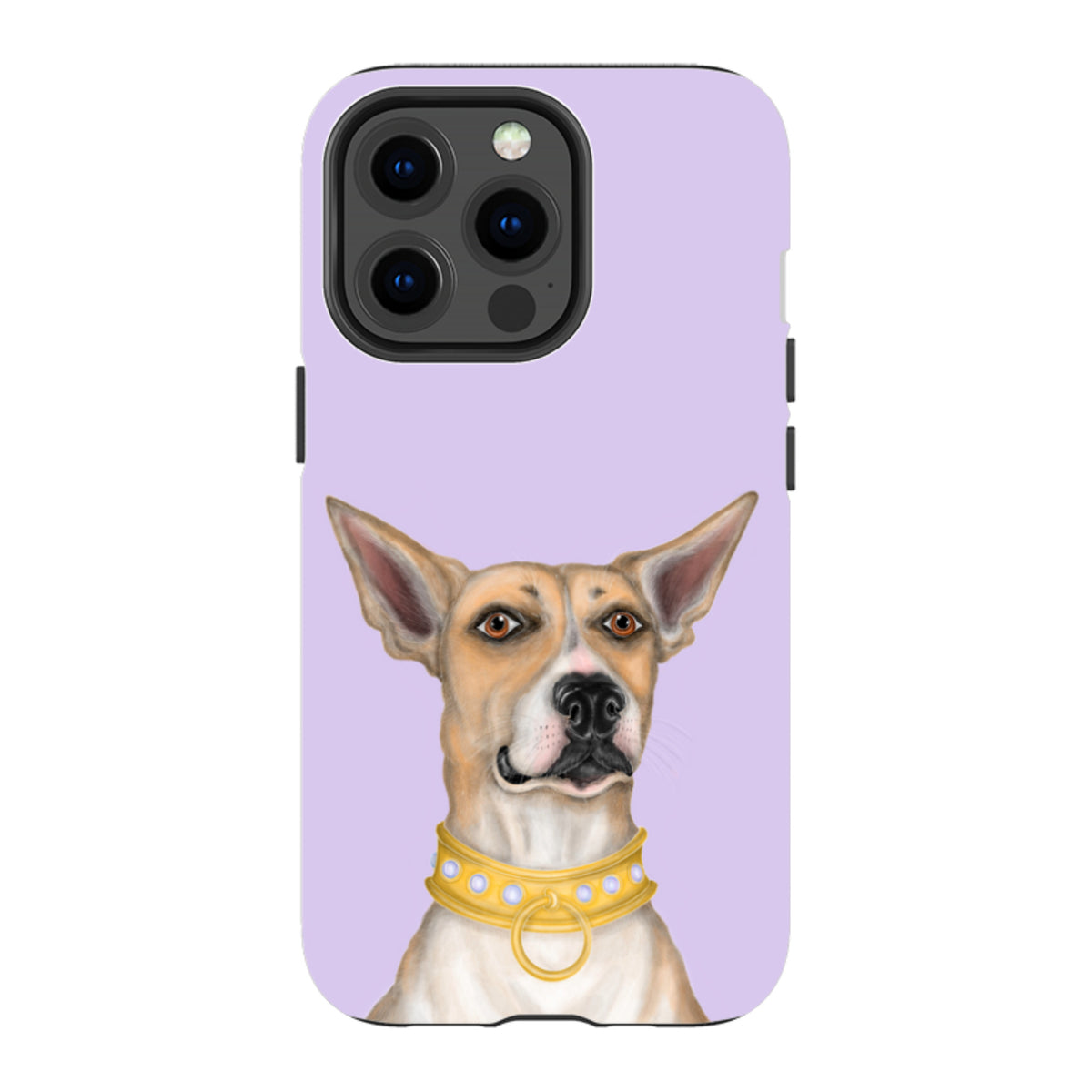 iPhone MagSafe Tough Case - Basenji By Catherine Rowe