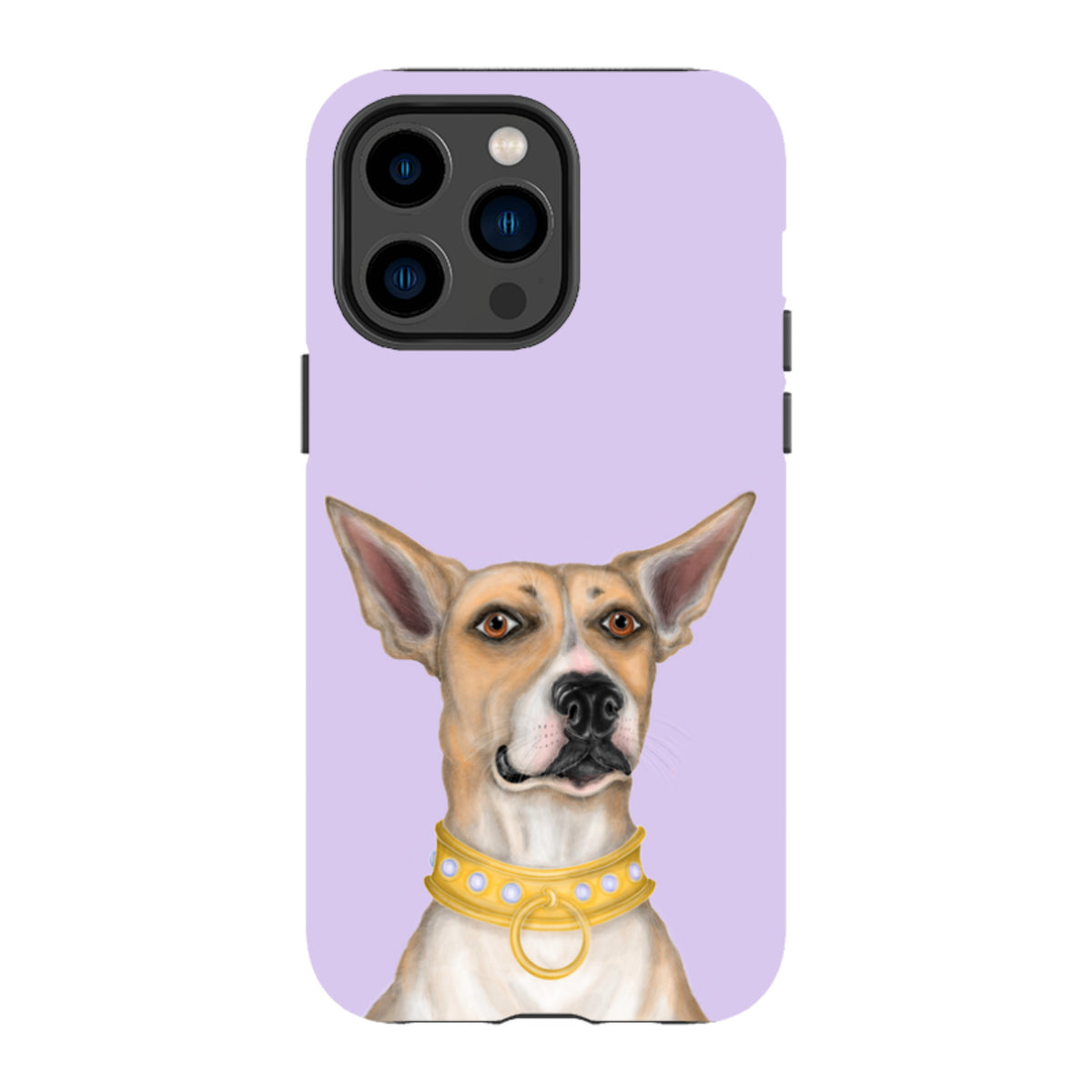 iPhone MagSafe Tough Case - Basenji By Catherine Rowe