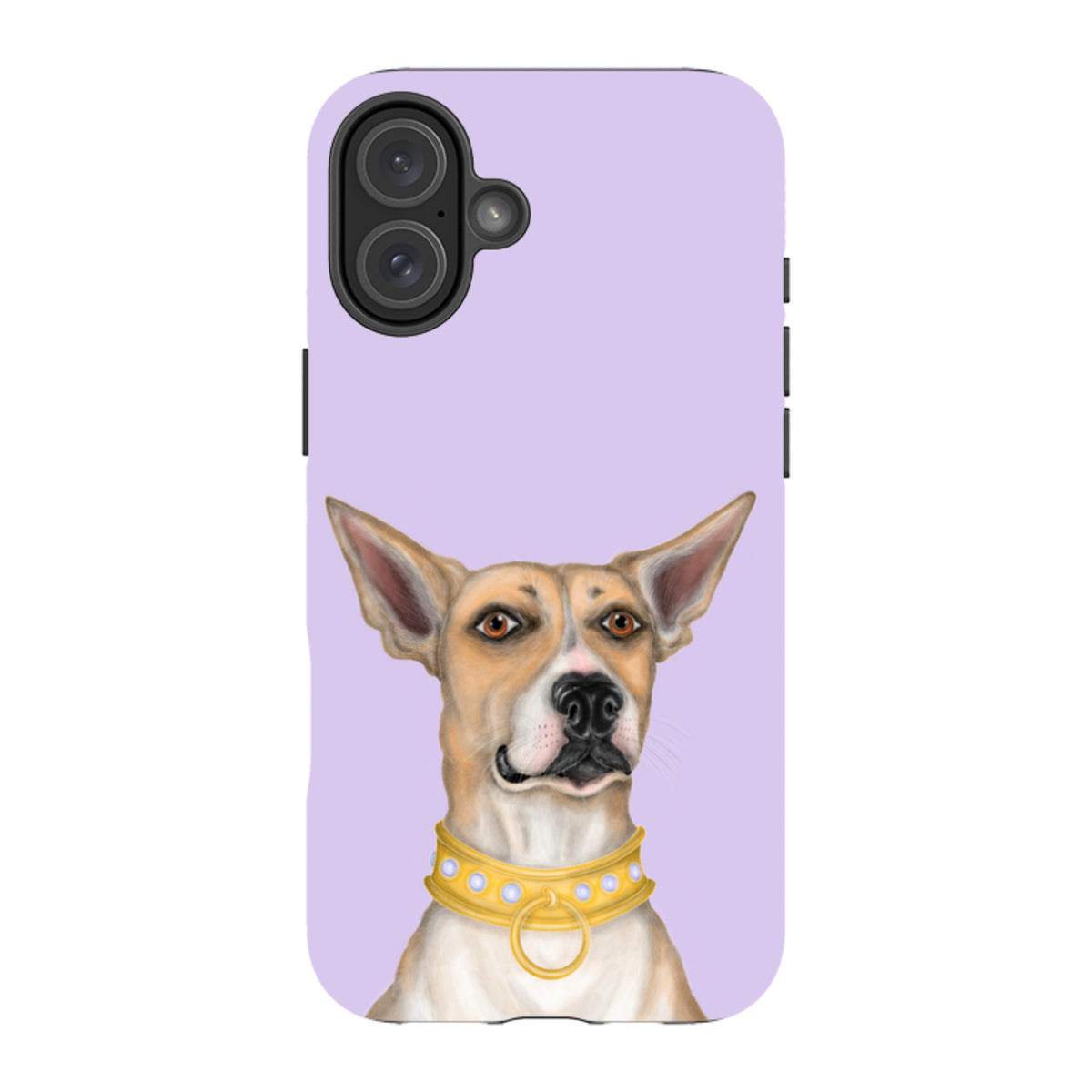 iPhone MagSafe Tough Case - Basenji By Catherine Rowe