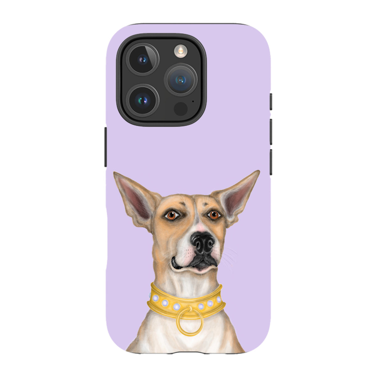 iPhone MagSafe Tough Case - Basenji By Catherine Rowe