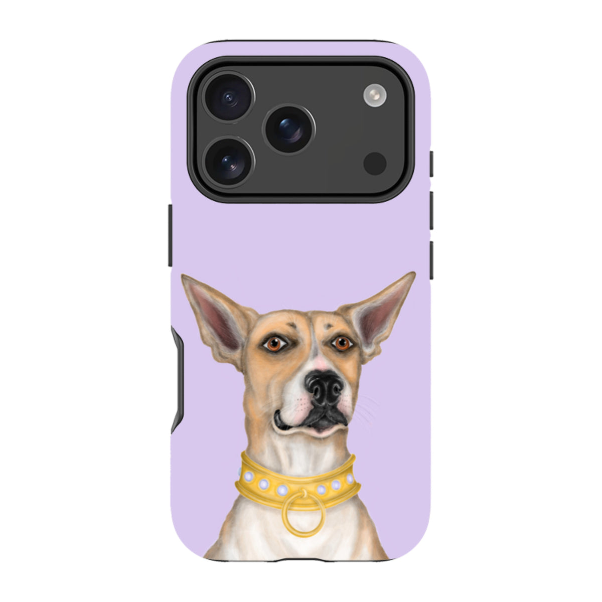 iPhone MagSafe Tough Case - Basenji By Catherine Rowe
