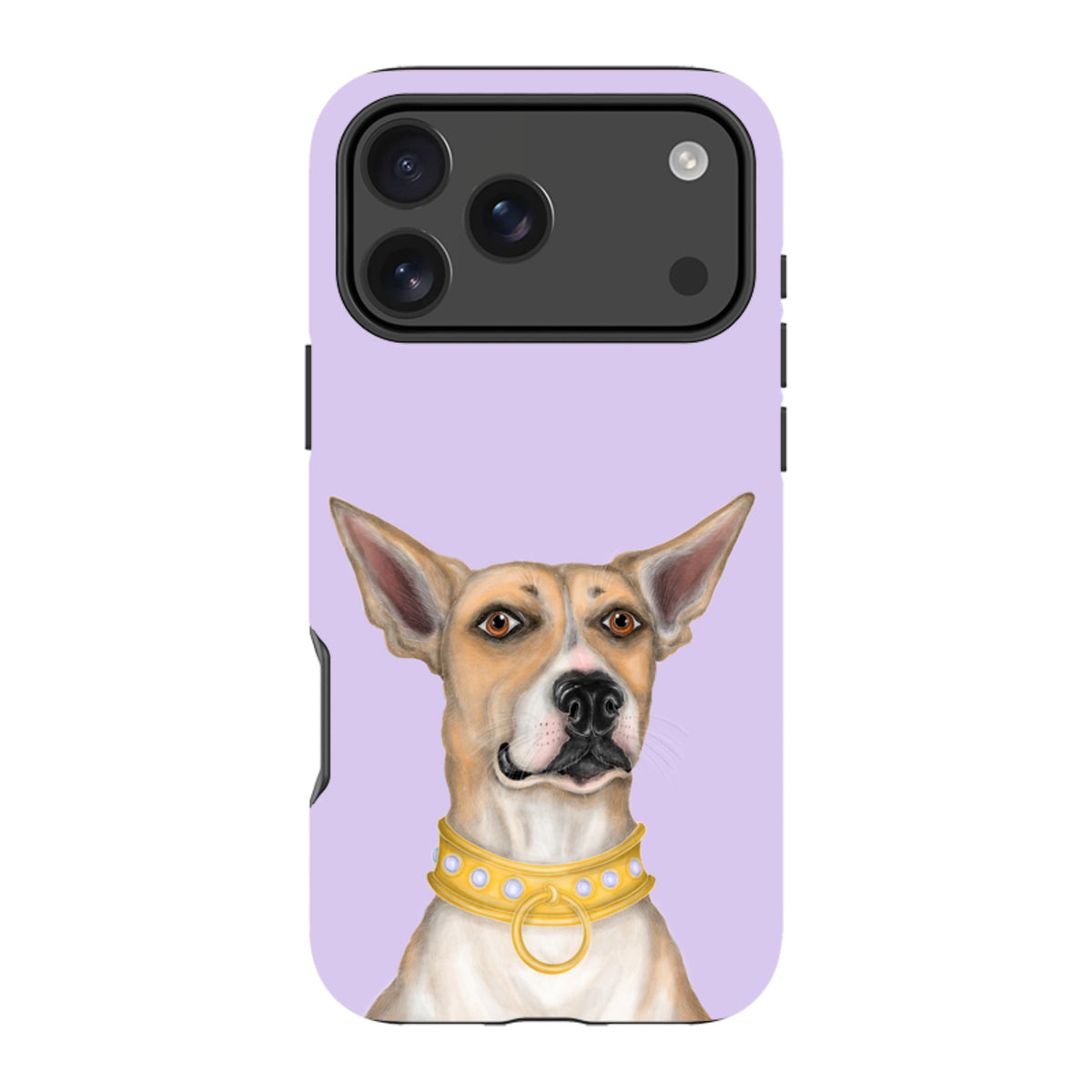 iPhone MagSafe Tough Case - Basenji By Catherine Rowe