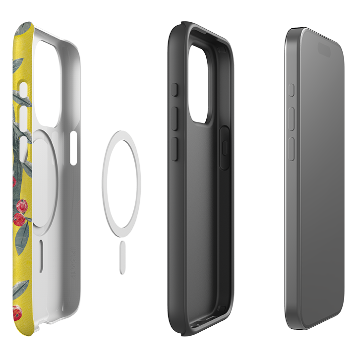 iPhone MagSafe Tough Case - Blackbird By Tracey English