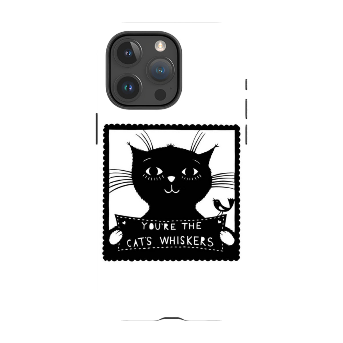 iPhone MagSafe Tough Case -  Cats Whiskers By Suzy Taylor