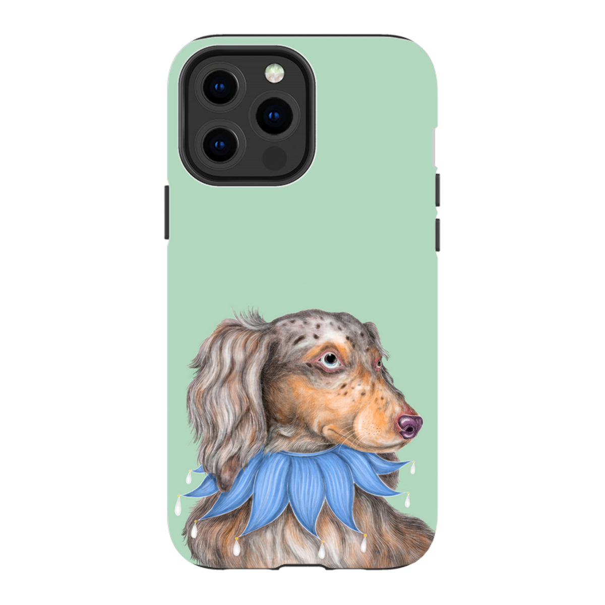 iPhone MagSafe Tough Case - Dachshund By Catherine Rowe