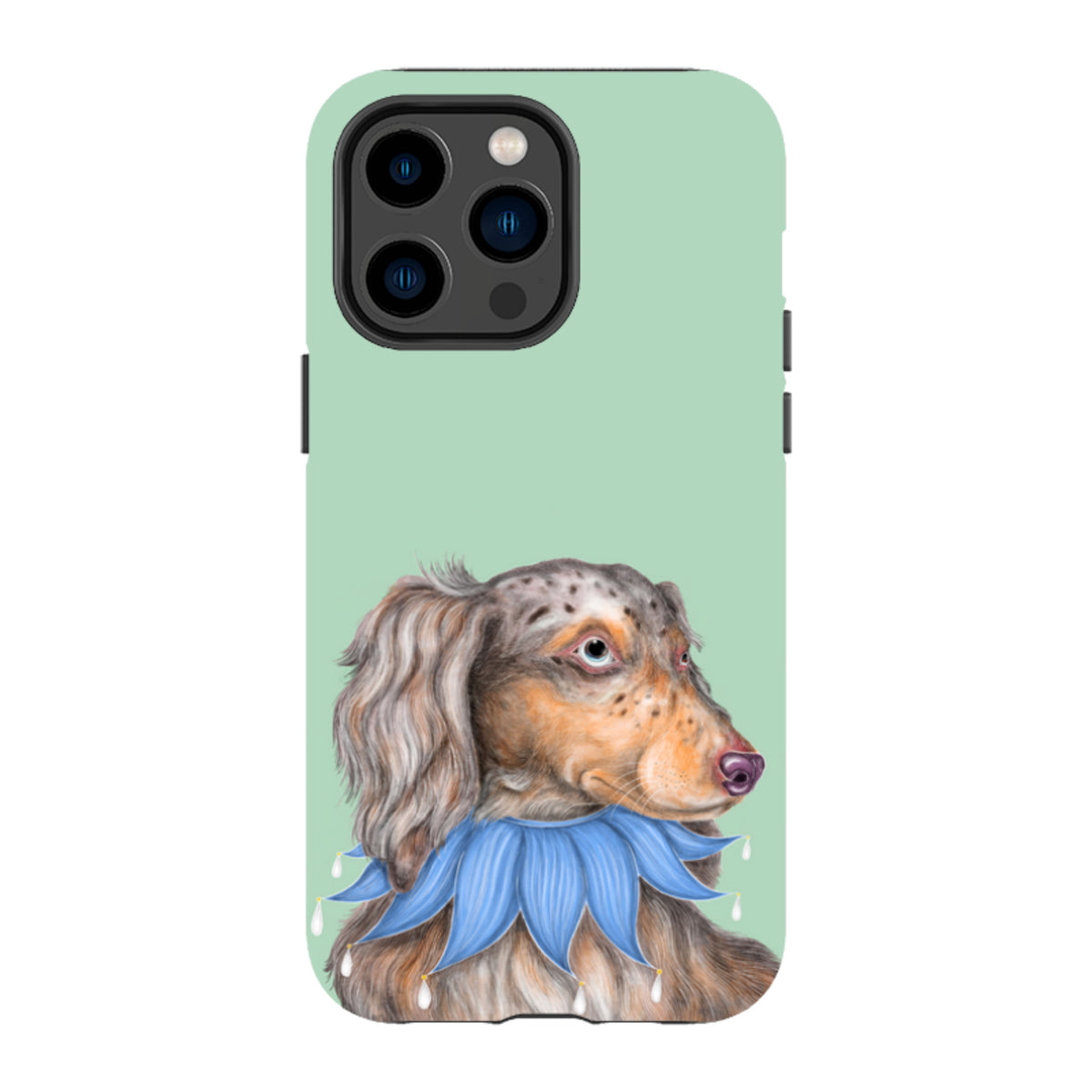 iPhone MagSafe Tough Case - Dachshund By Catherine Rowe