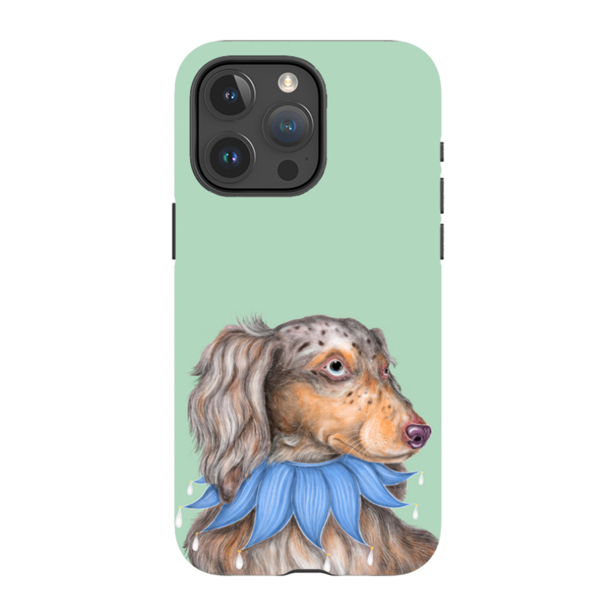 iPhone MagSafe Tough Case - Dachshund By Catherine Rowe