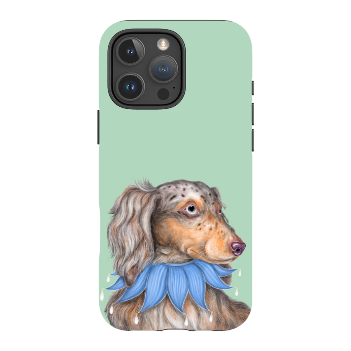 iPhone MagSafe Tough Case - Dachshund By Catherine Rowe
