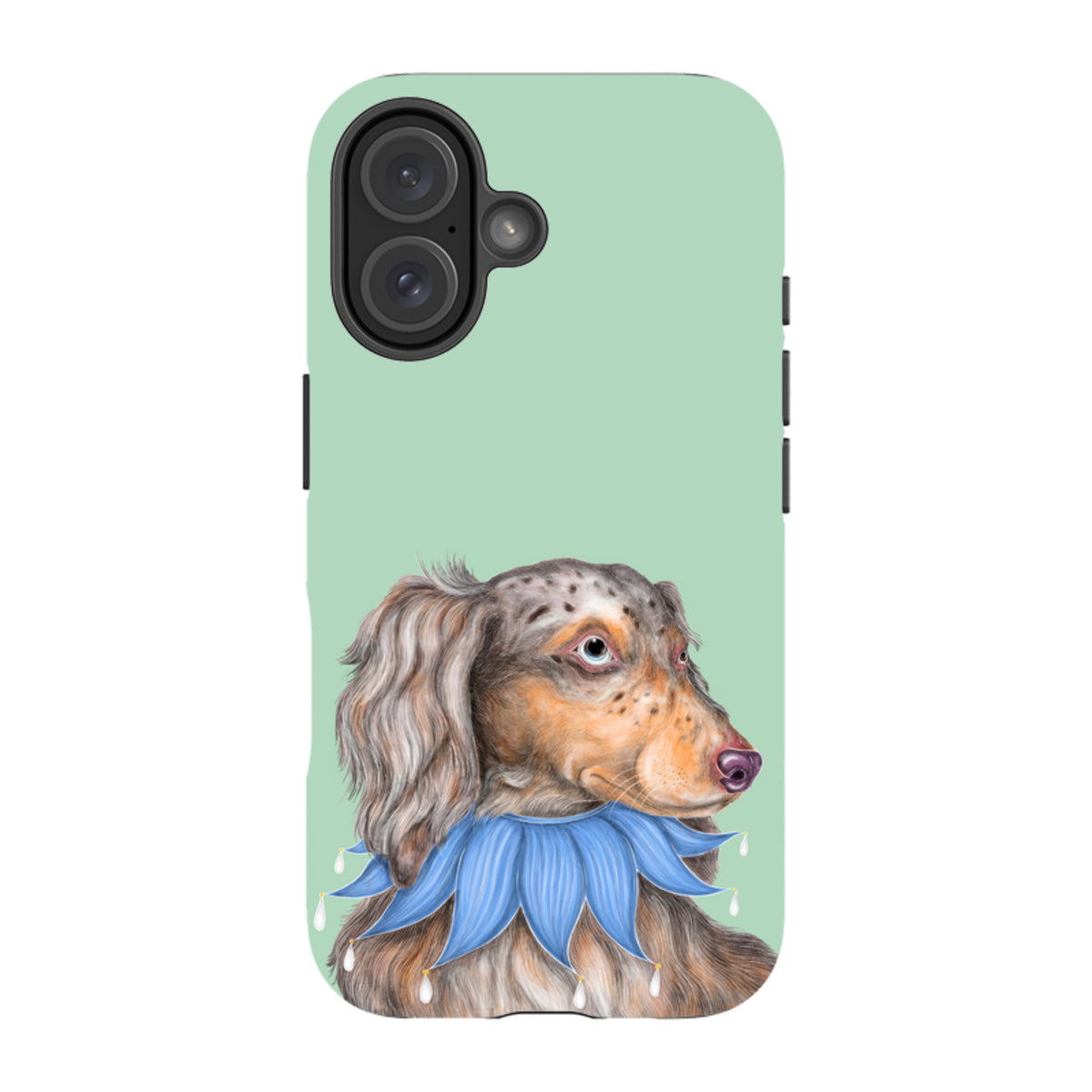 iPhone MagSafe Tough Case - Dachshund By Catherine Rowe
