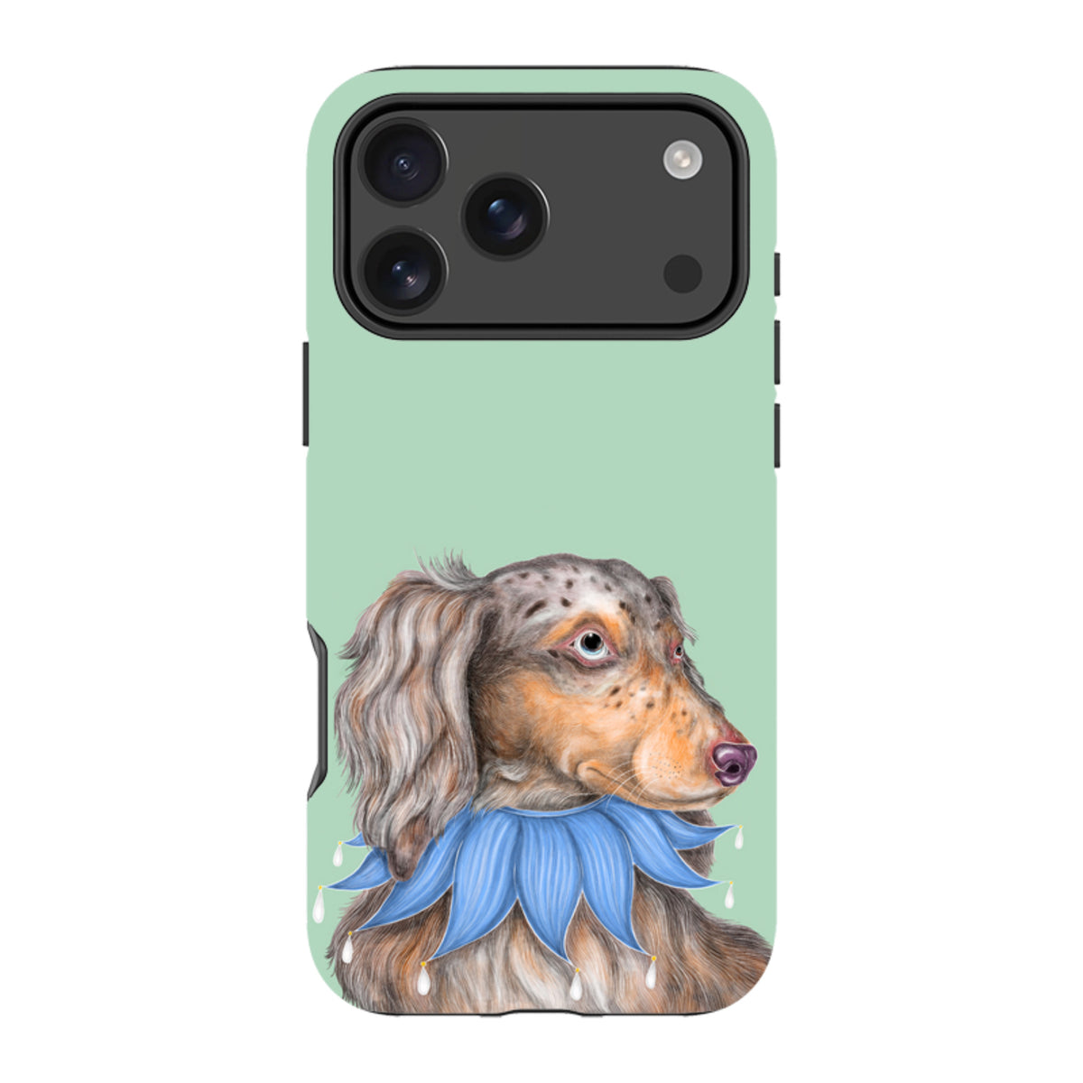 iPhone MagSafe Tough Case - Dachshund By Catherine Rowe
