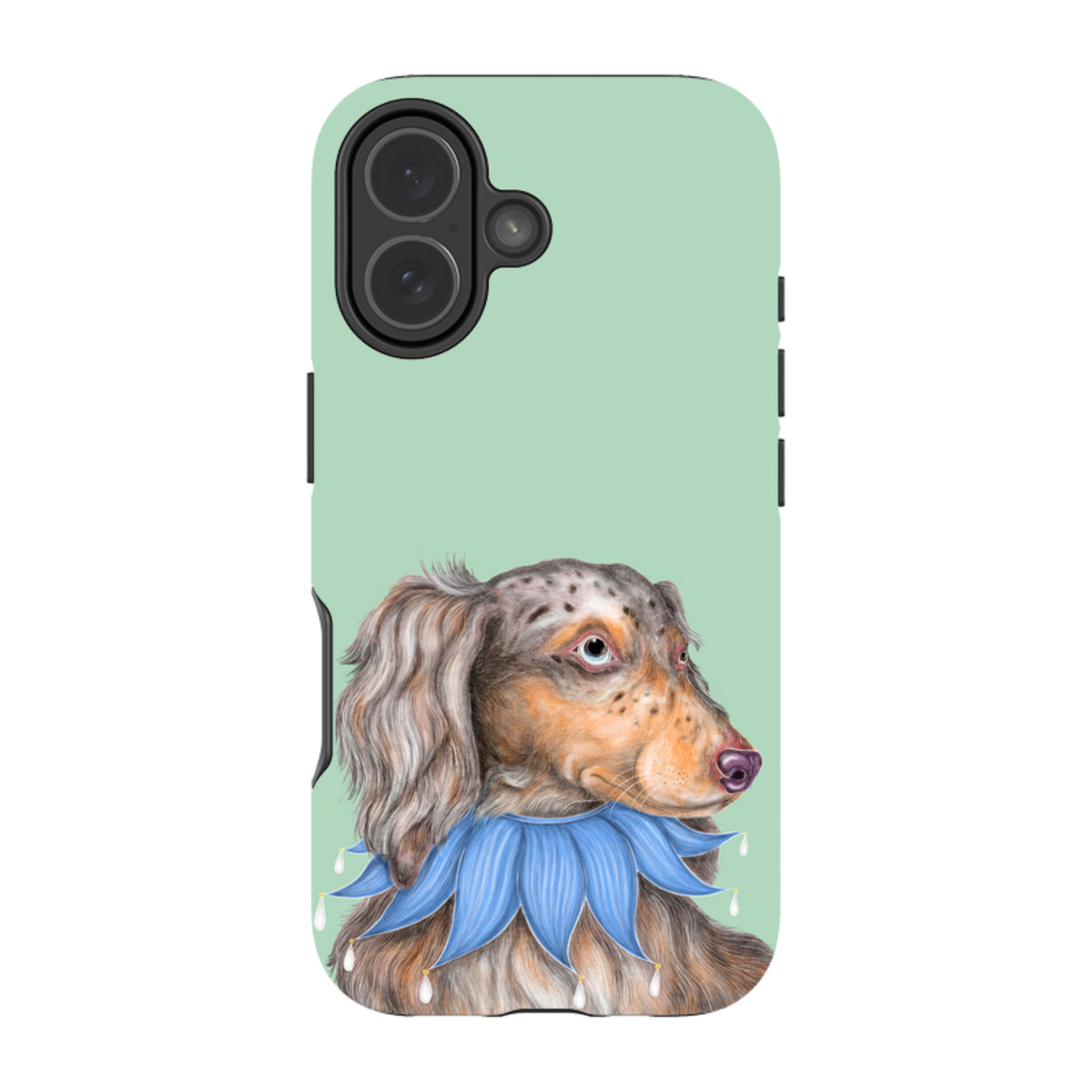 iPhone MagSafe Tough Case - Dachshund By Catherine Rowe