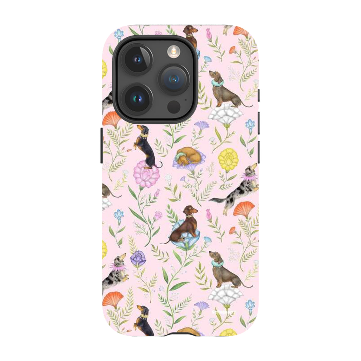 iPhone MagSafe Tough Case -  Doxy Day Afternoon Petal By Catherine Rowe
