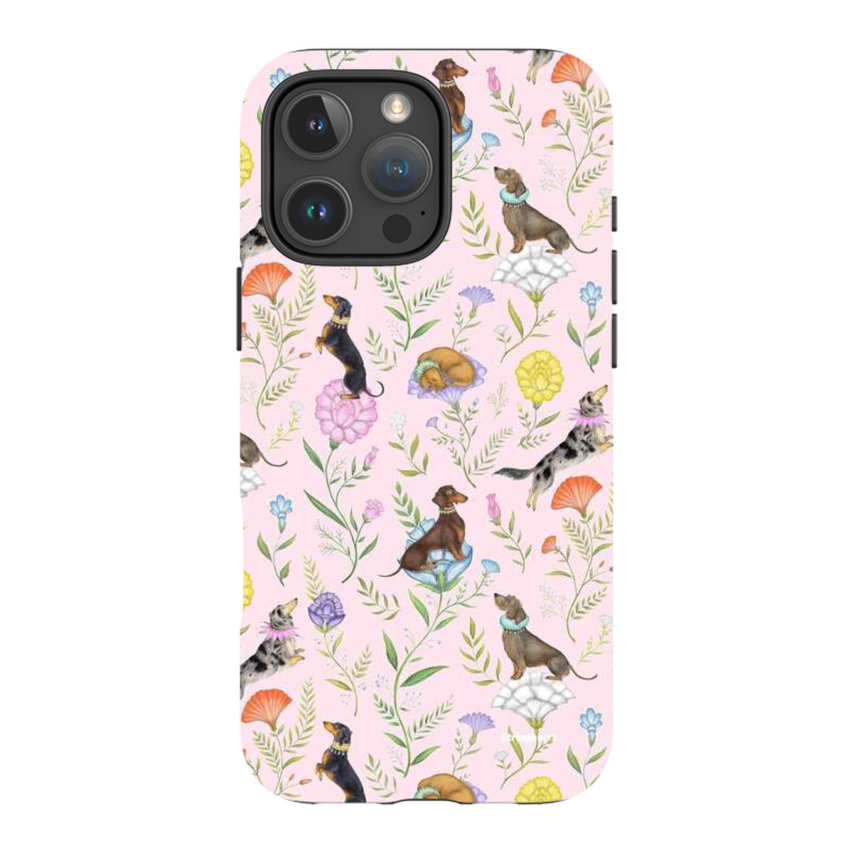 iPhone MagSafe Tough Case -  Doxy Day Afternoon Petal By Catherine Rowe
