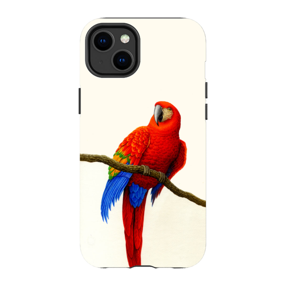 iPhone MagSafe Tough Case -  Scarlett Macaw By Philip Hood