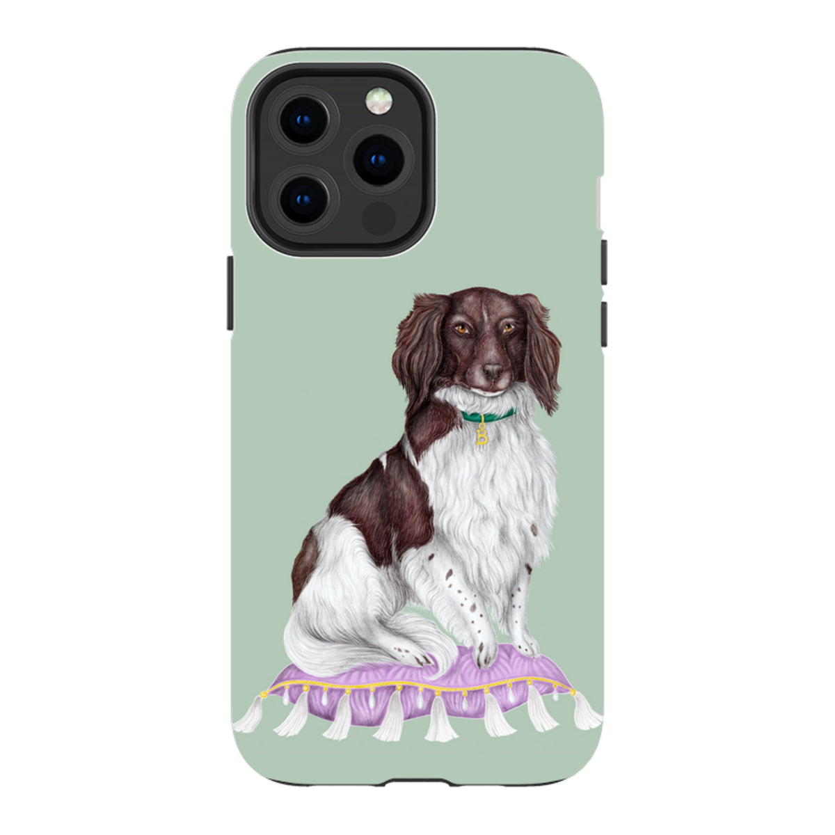 iPhone MagSafe Tough Case - Spaniel By Catherine Rowe