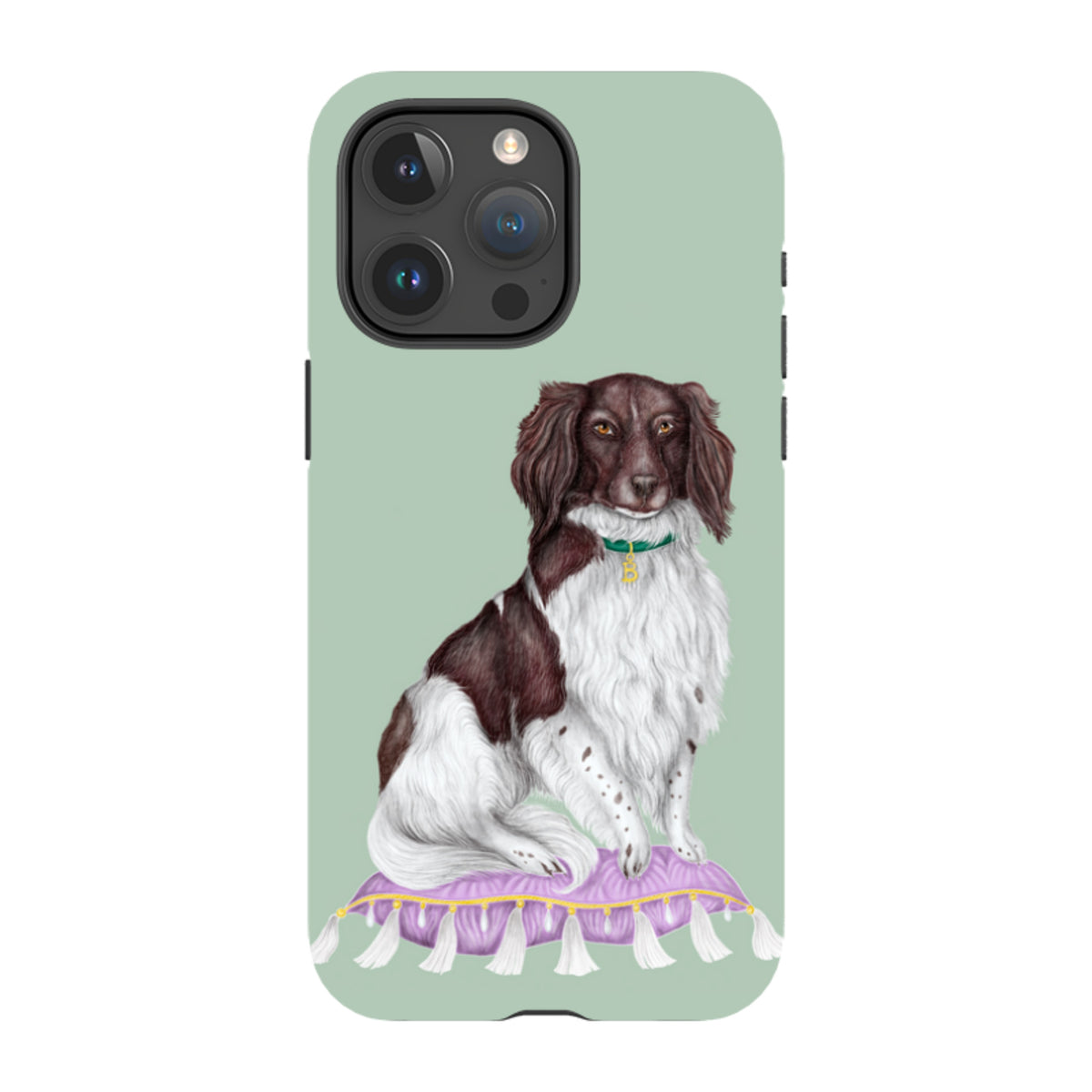 iPhone MagSafe Tough Case - Spaniel By Catherine Rowe