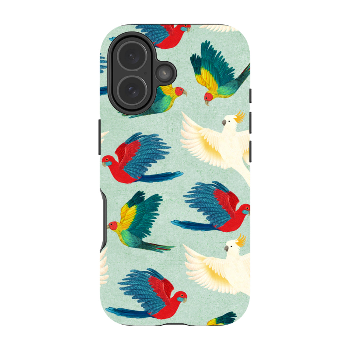 iPhone Tough Case - All Birds By Katherine Quinn
