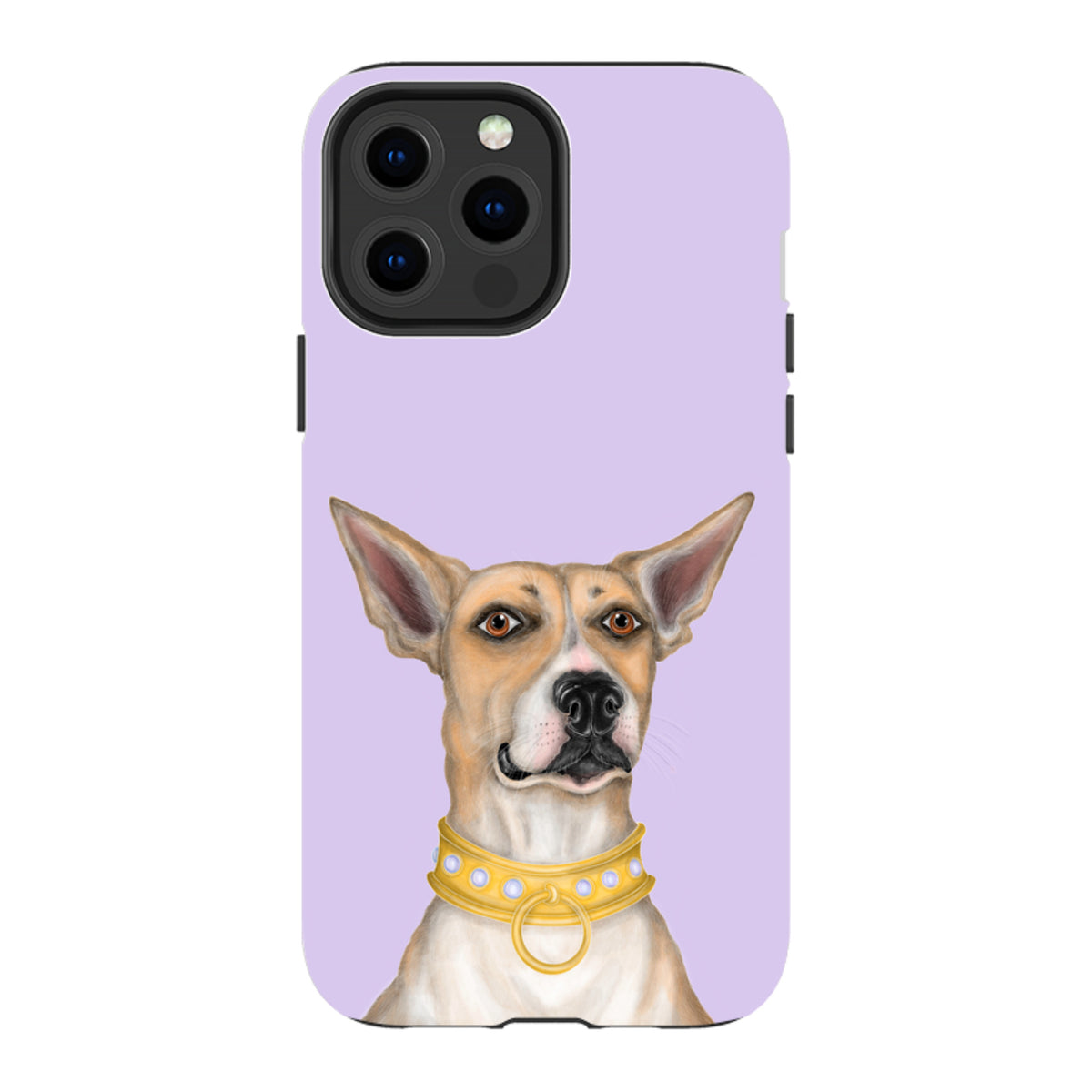 iPhone Tough Case - Basenji By Catherine Rowe