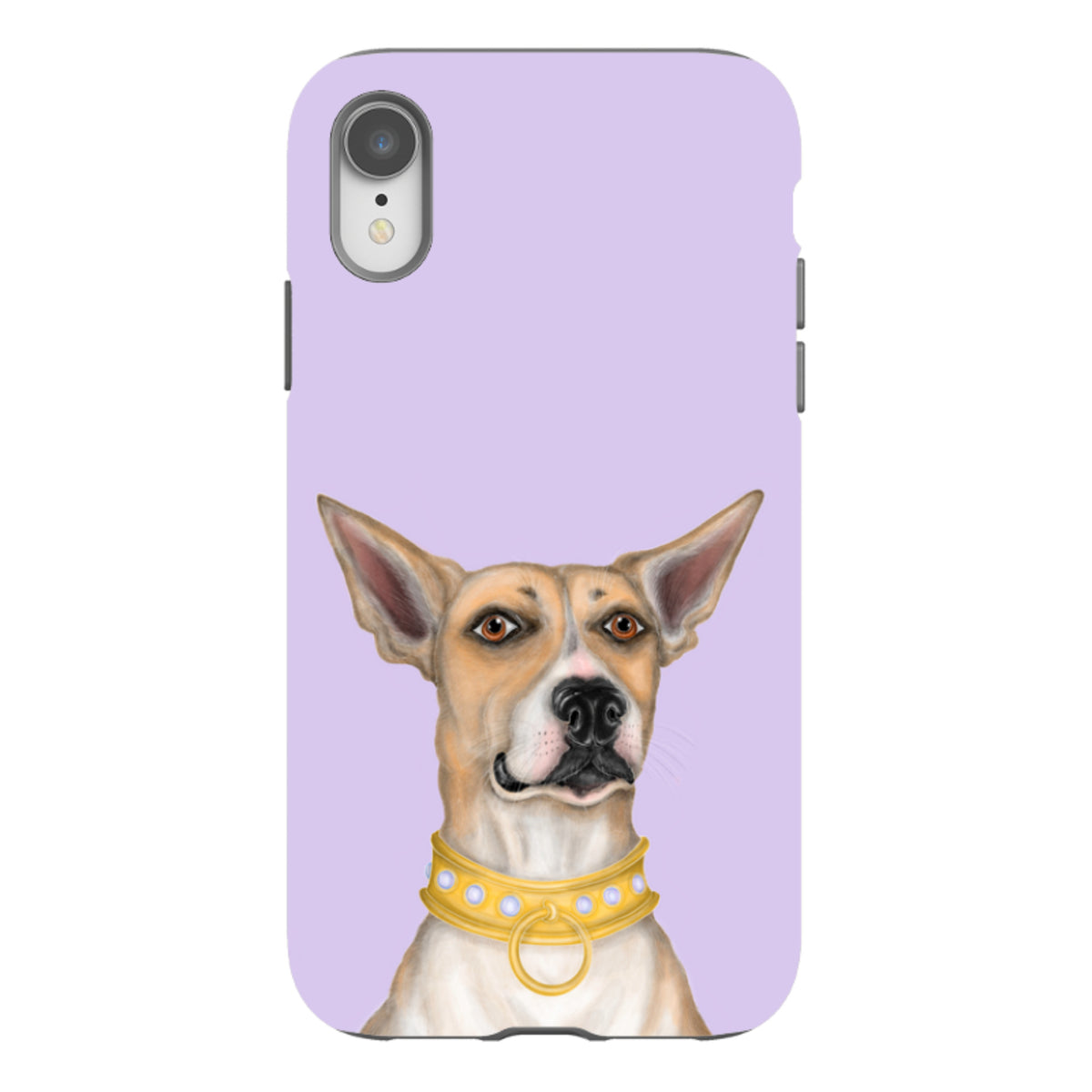 iPhone Tough Case - Basenji By Catherine Rowe