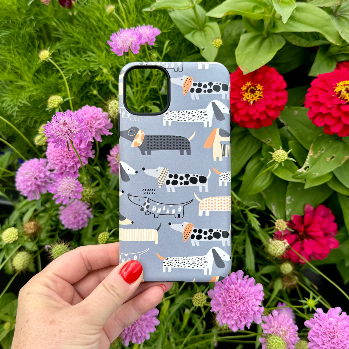 iPhone Tough Case - Sausage Dog III