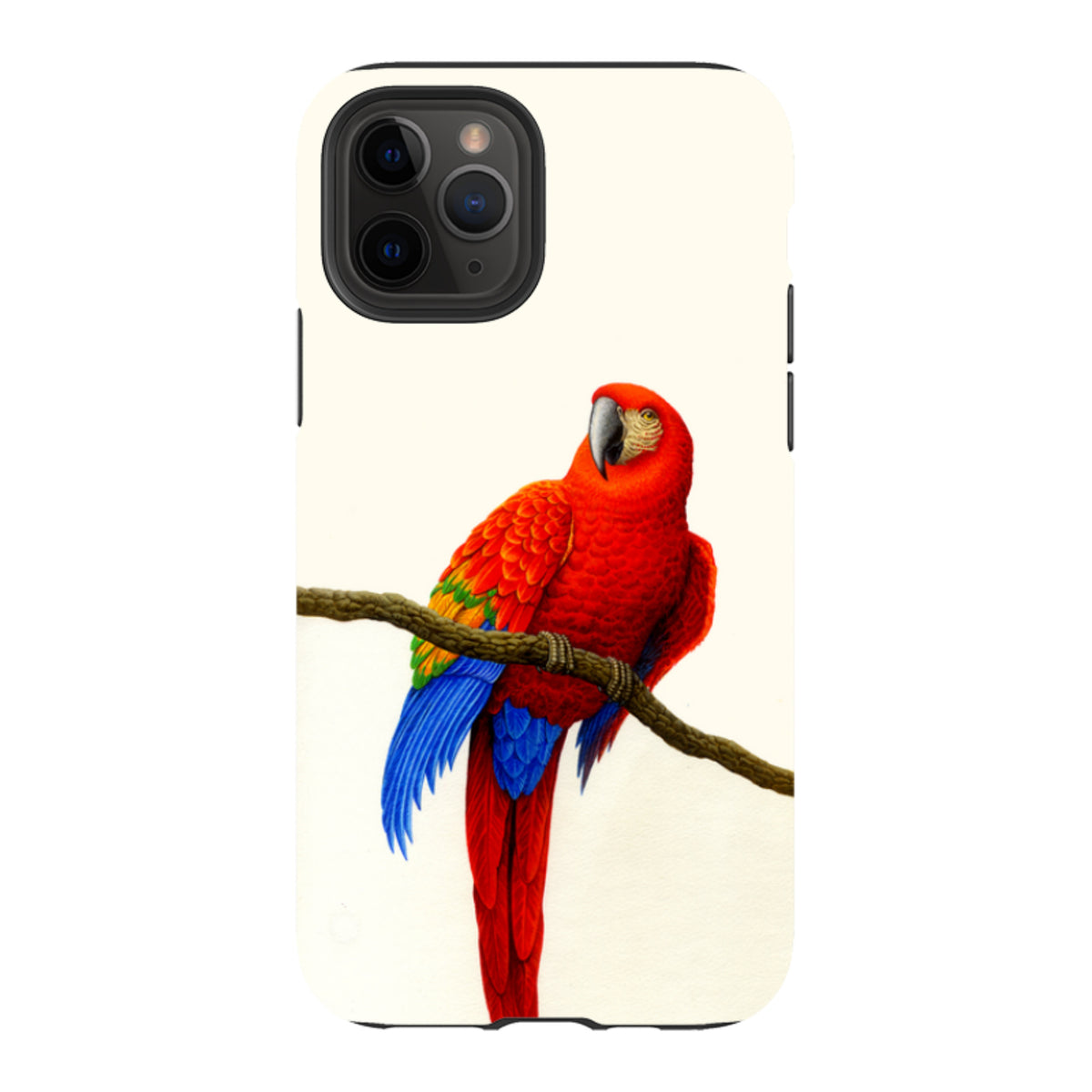 iPhone tough case featuring a vibrant scarlet macaw bird perched on a branch against a cream background.