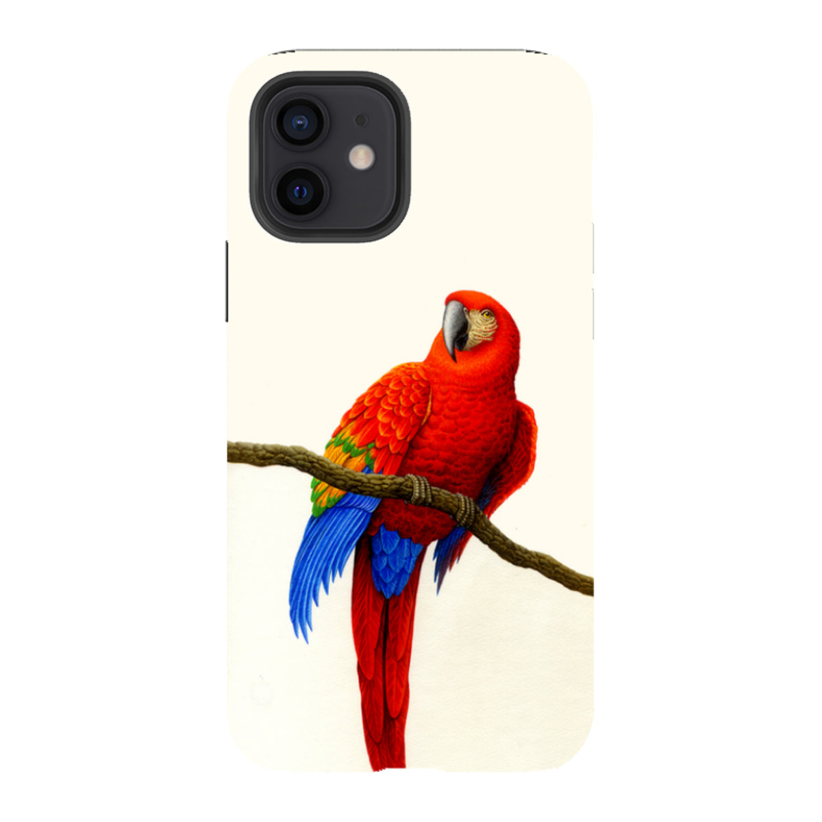 iPhone tough case featuring a vibrant Scarlet Macaw illustration by Philip Hood on a cream background.