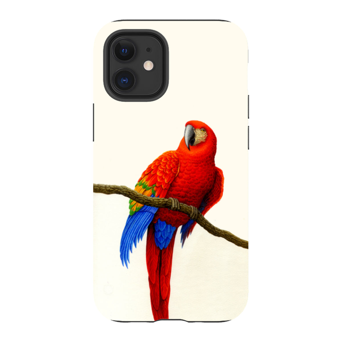 iPhone tough case featuring a vibrant scarlet macaw illustration on a white background with dual-layer protection.