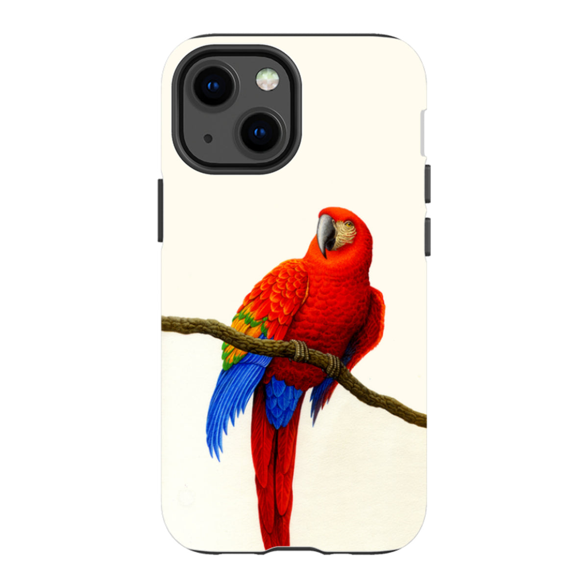 iPhone tough case featuring a vibrant scarlet macaw bird perched on a branch against a clean white background.
