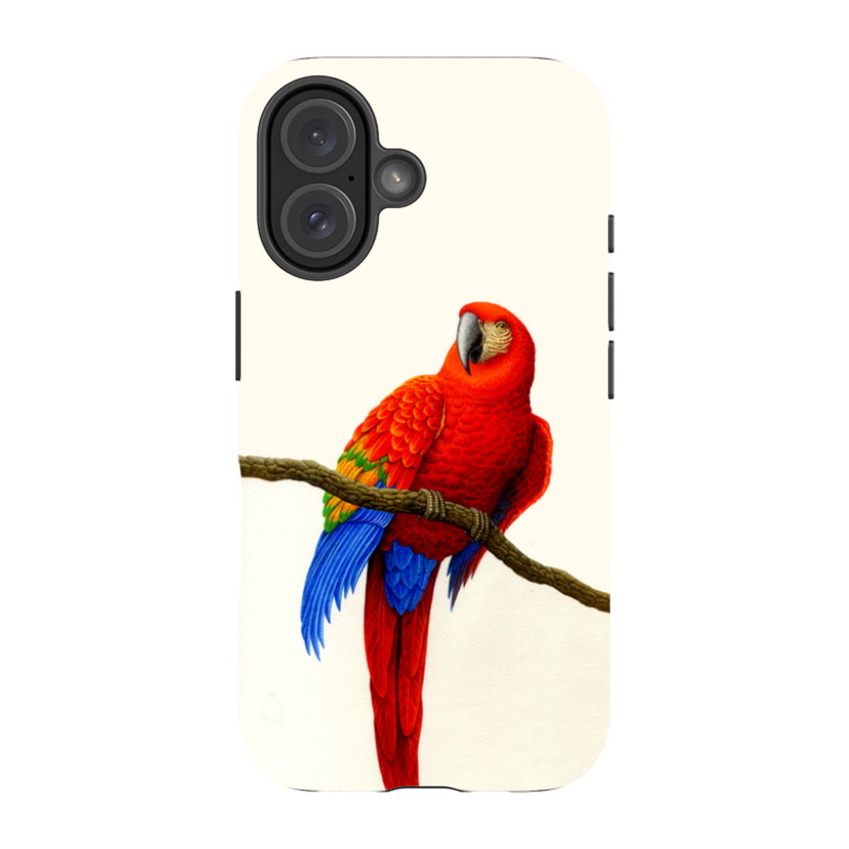 iPhone tough case featuring a vibrant Scarlet Macaw illustration by Philip Hood on a cream background with dual-layer design.